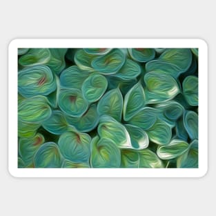 Hosta 'Dinky Donna' oil painting effect. Sticker